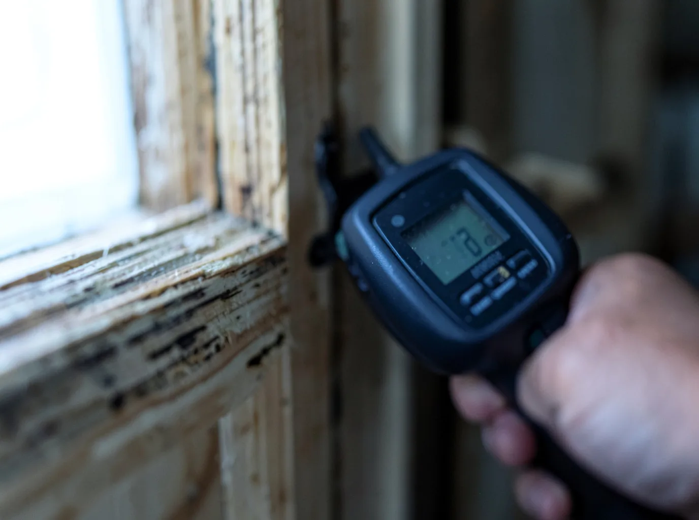 Water Damage Restoration Port Ludlow, WA FAQs